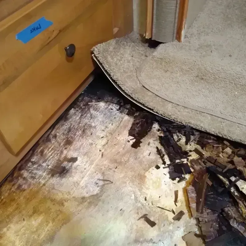 Wood Floor Water Damage in Brownlee Park, MI